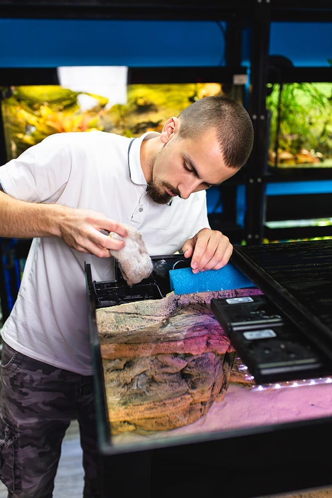 Timothy - Fishkeeping League Founder & Author